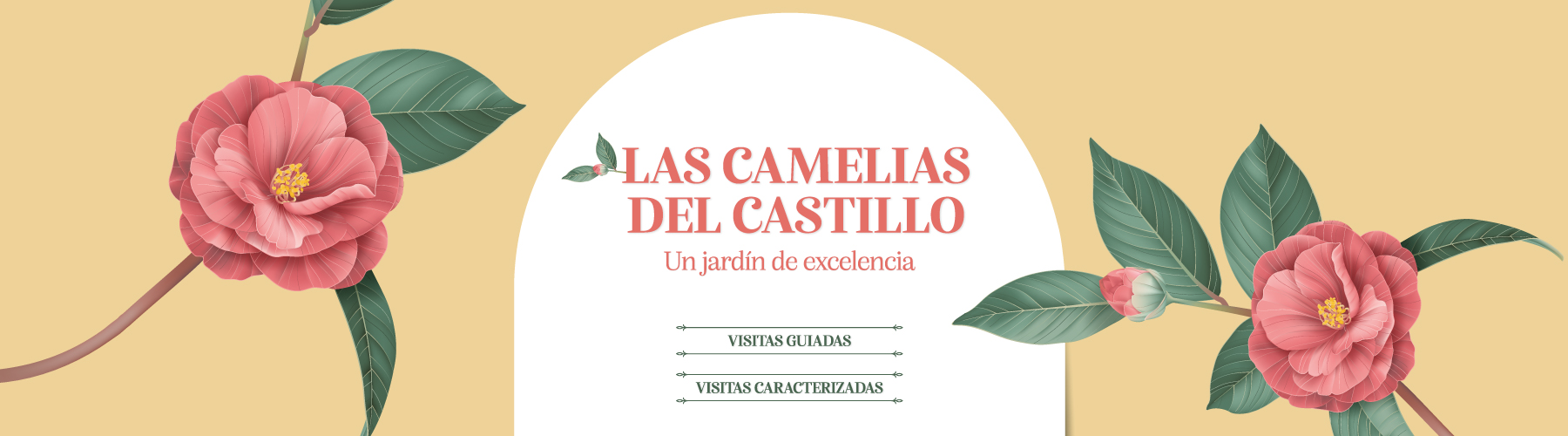 Programación de la camelia del castillo de Soutomaior 2023