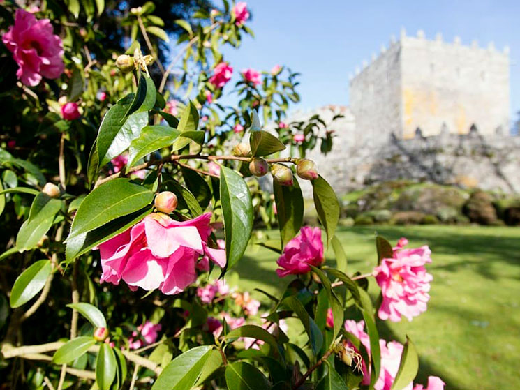 La Ruta de la Camelia o cómo descubrir lugares únicos de Rías Baixas siguiendo esta flor