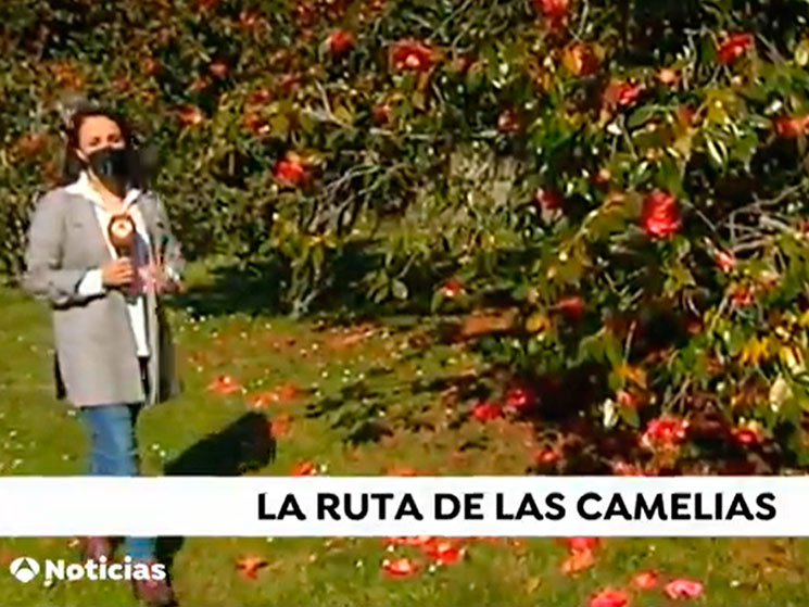 El plan perfecto en un jardín de Excelencia Internacional en Galicia: paz, naturaleza y camelias